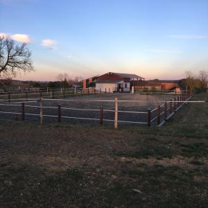 Réalisation d'une carrière pour chevaux